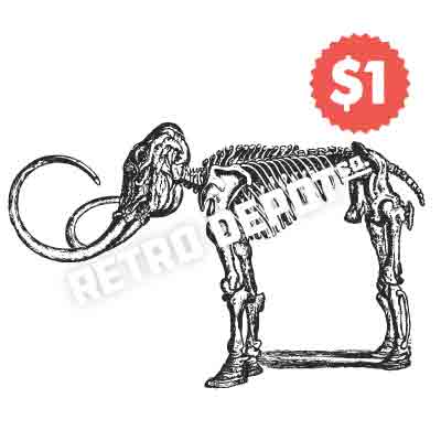 Vintage Vector Mammoth Skeleton