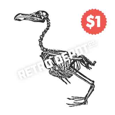 Vintage Vector DoDo Skeleton